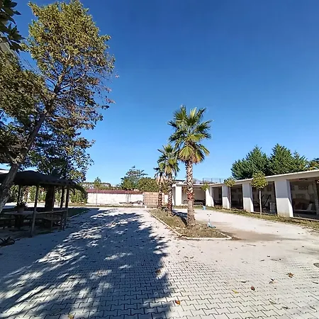 Northern Lane Hostel *